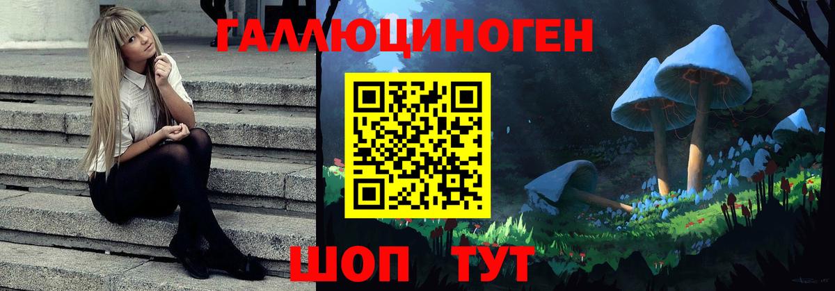 Галлюциногенные грибы Cubensis  Вход с VPN  Кушва  где купить наркотик  Псилоцибиновые грибы Magic Shrooms 